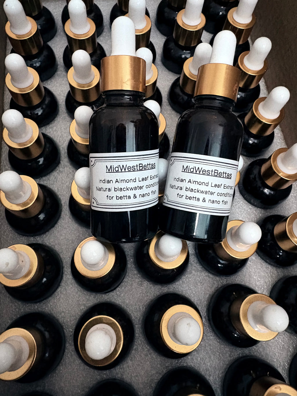 Extract Blackwater Indian Almond Leaf Extract (30 mL)